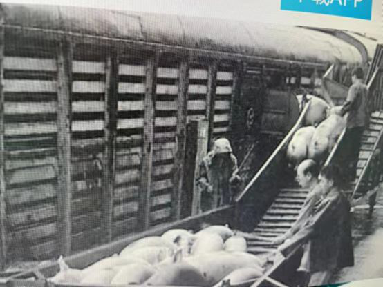 圖片6.png 圖片6.png